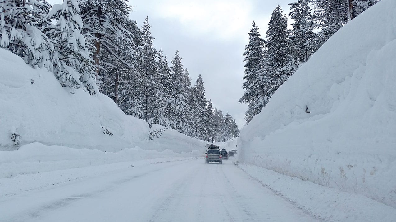 Donner Pass Snowfall 2024 - Dotty Gillian