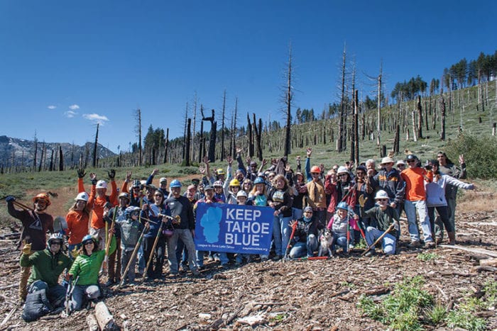 League To Save Lake Tahoe's Tahoe Forest Stewardship Day - Tahoe Quarterly