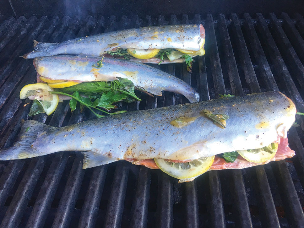 Catching Trout in a High Mountain Lake - Catch cook trout on my