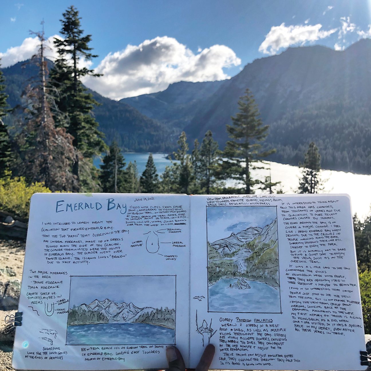 Back in His Domain - Tahoe Quarterly