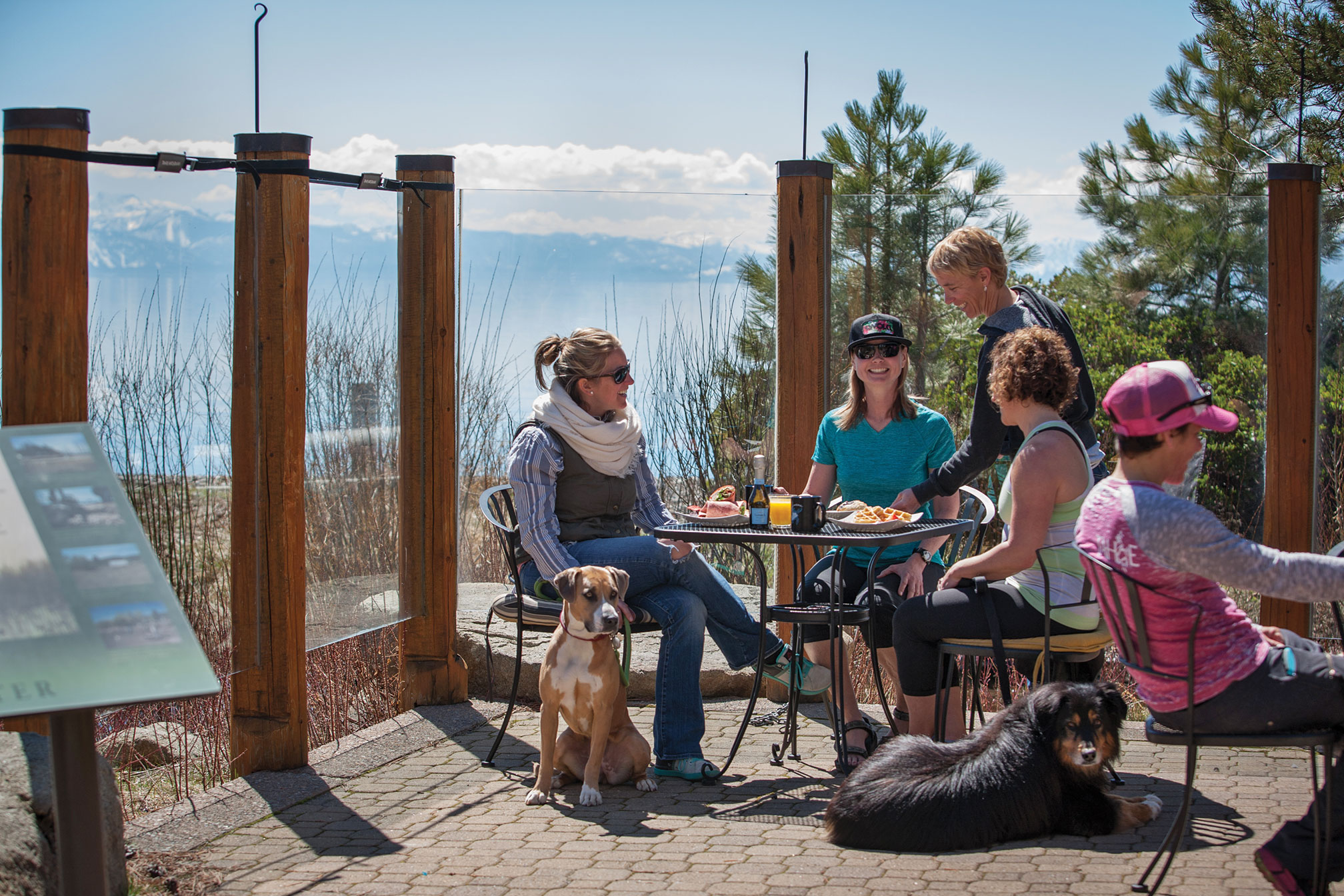 Dog Friendly Dining In Lake Tahoe