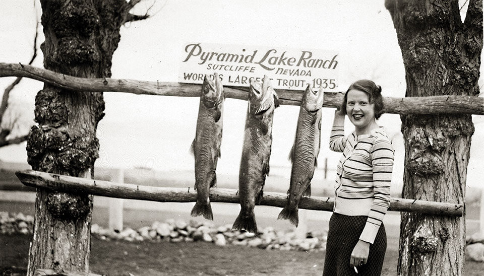 Explore the Unique Fish Species of Pyramid Lake